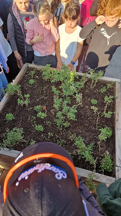 Καλλιέργεια